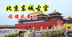 掰开逼大黑鸡巴操中国北京-东城古宫旅游风景区